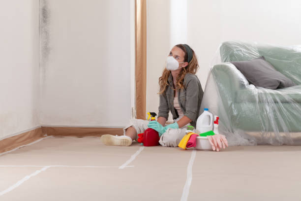 Reliable Mold Removal contractor in Manchester, TN by WQB Mold Removal